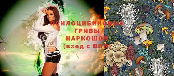 мяу мяу мука Дмитров