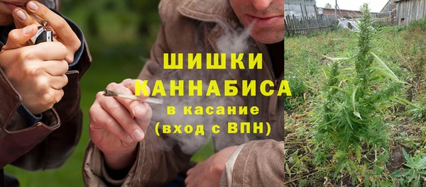 молекула духа Дмитровск