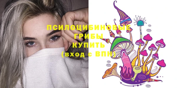 молекула духа Дмитровск