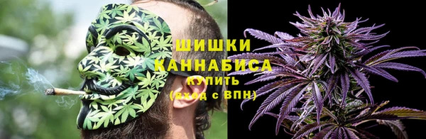 молекула духа Дмитровск