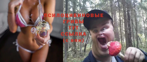 молекула духа Дмитровск