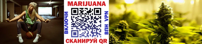 Бошки Шишки ГИДРОПОН Купить где Новозыбков